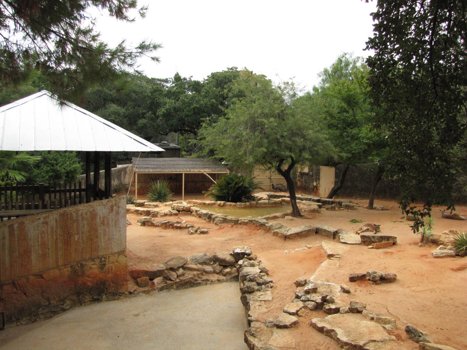 San Antonio Zoo 2010 - Mixed Australian exhibit