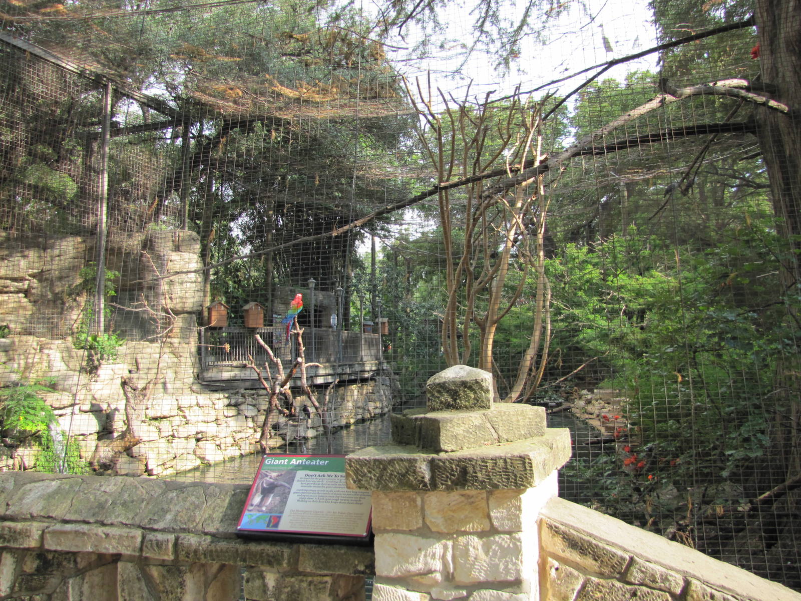 San Antonio Zoo 2010 - Mixed exhibit in the Amazonia Rain Forest