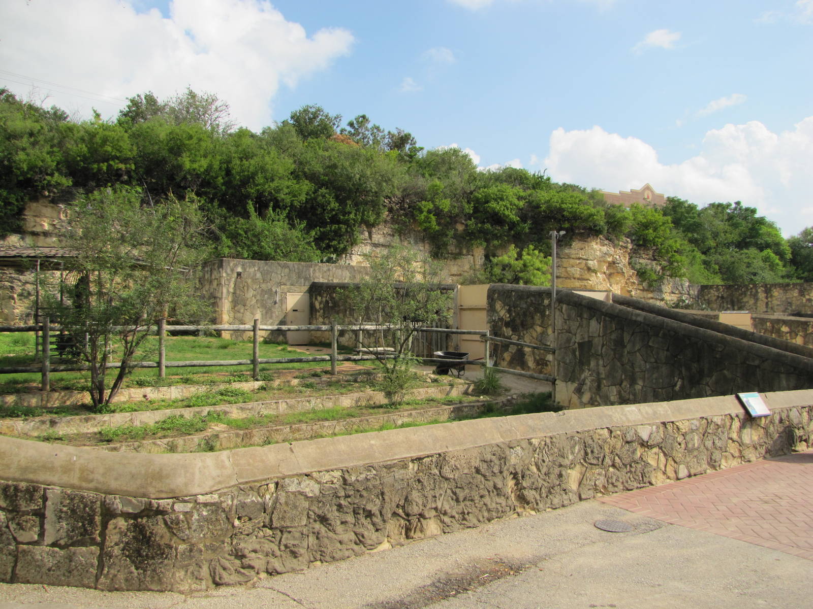 San Antonio Zoo 2010 - Okapi exhibit