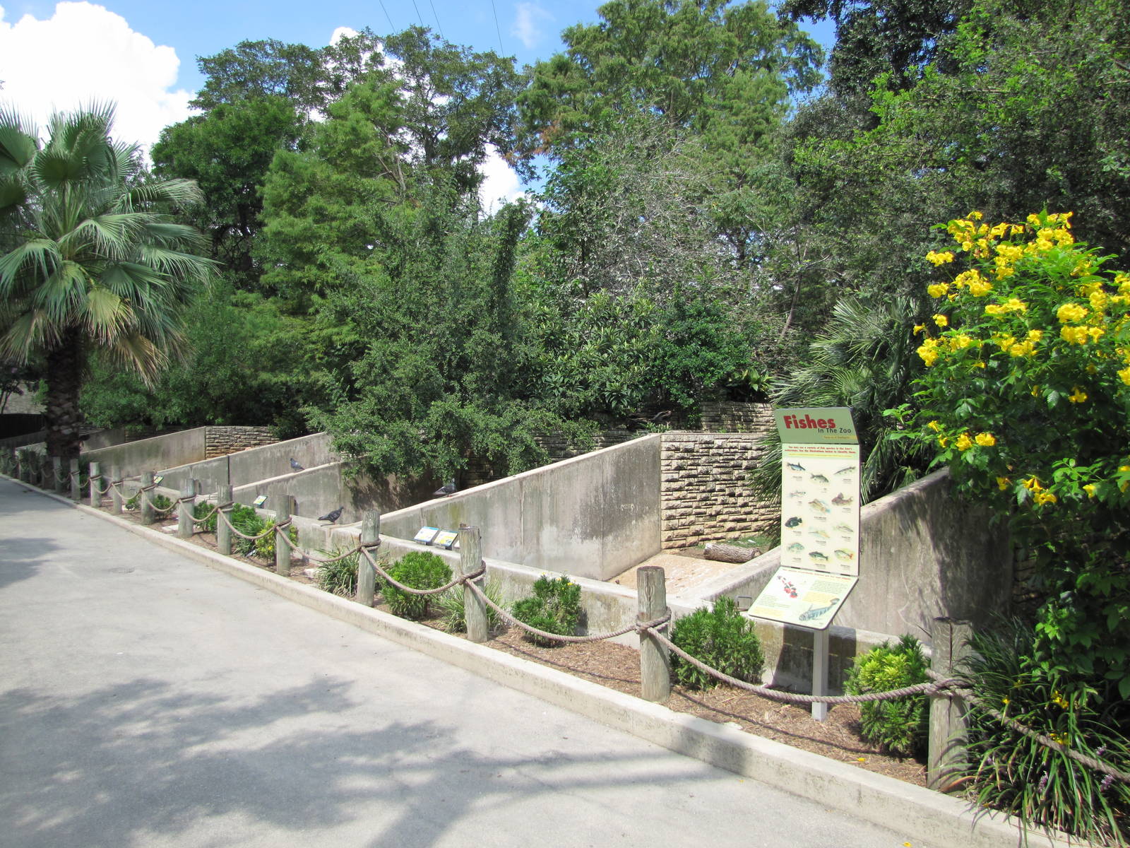 San Antonio Zoo 2010 - Open waterfowl complex