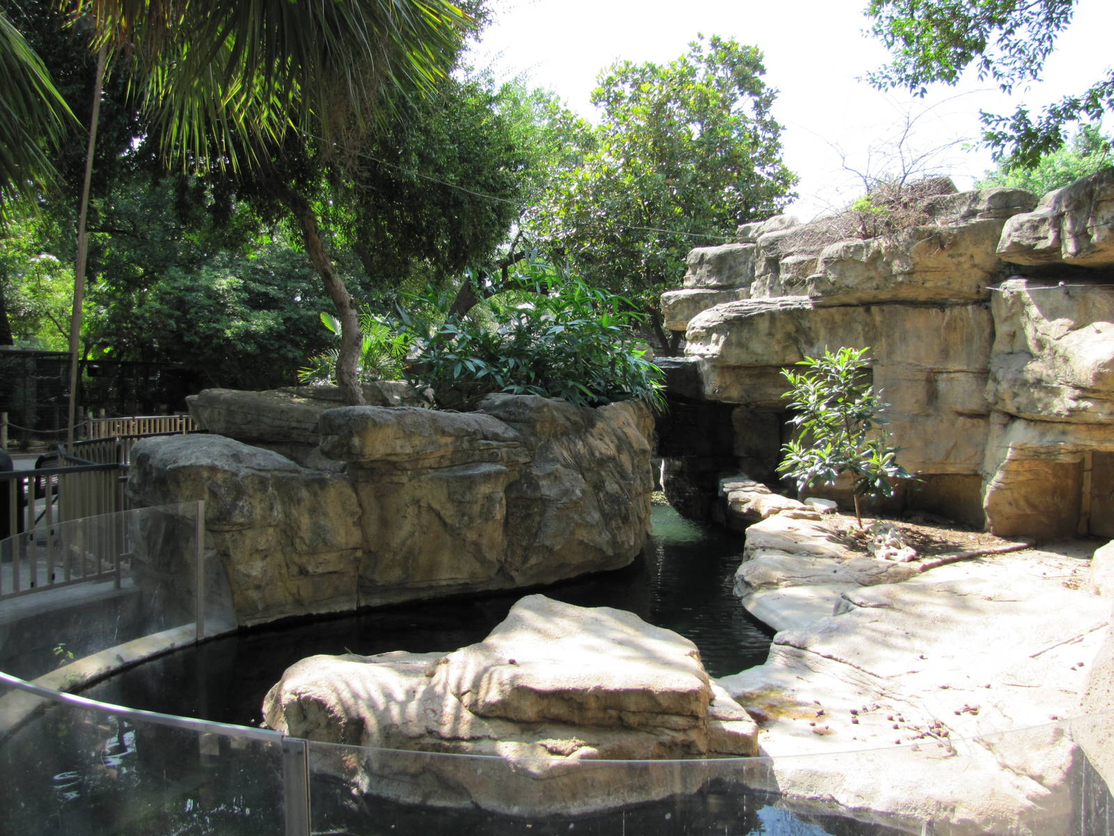 San Antonio Zoo 2010 - Orinoco Crocodile exhibit