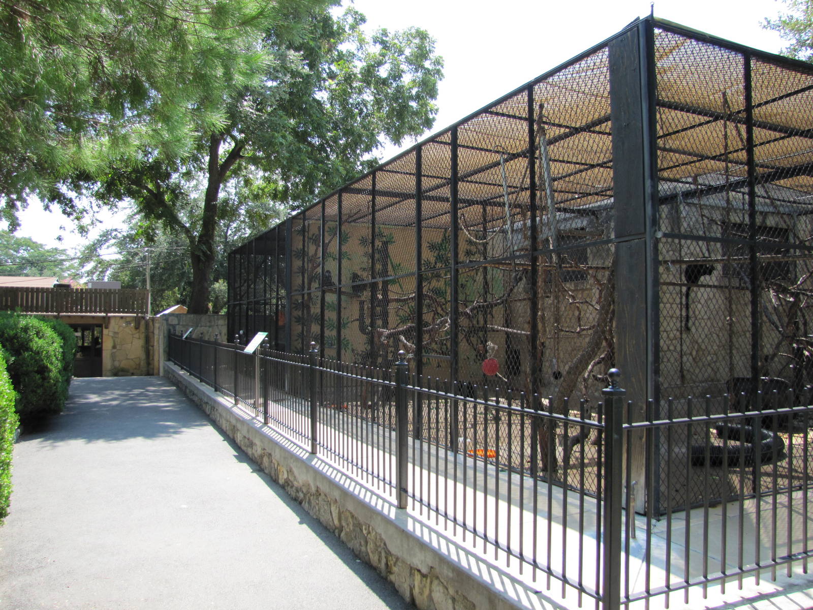 San Antonio Zoo 2010 - Other side of the  ancient monkey row