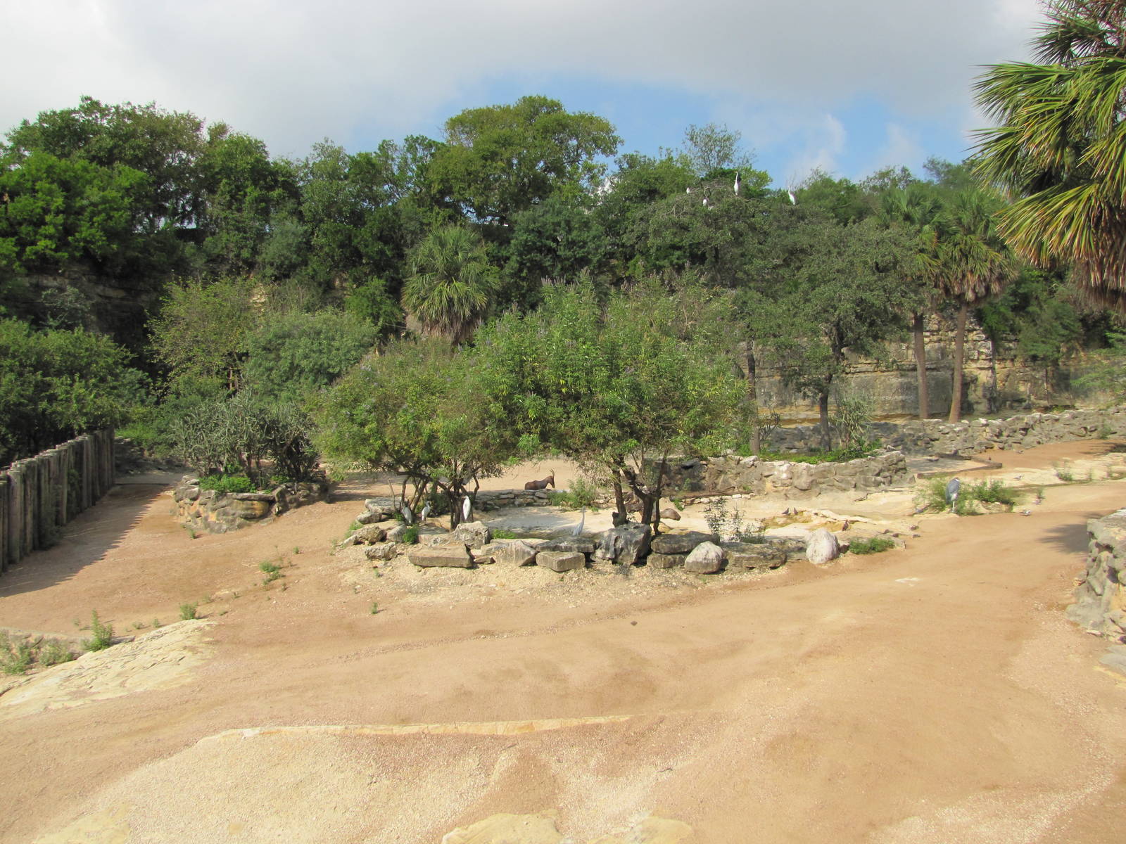 San Antonio Zoo 2010 - Part of mixed exhibit