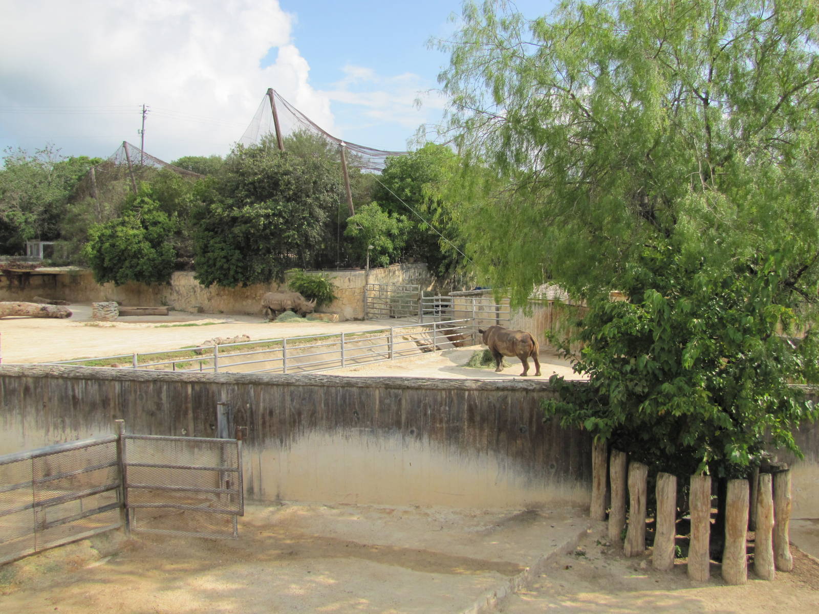 San Antonio Zoo 2010 - Part of rhinoceros complex in the Rift Valley