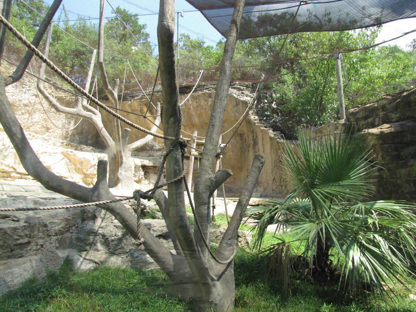 San Antonio Zoo 2010 - Part of the Francois Langur exhibit