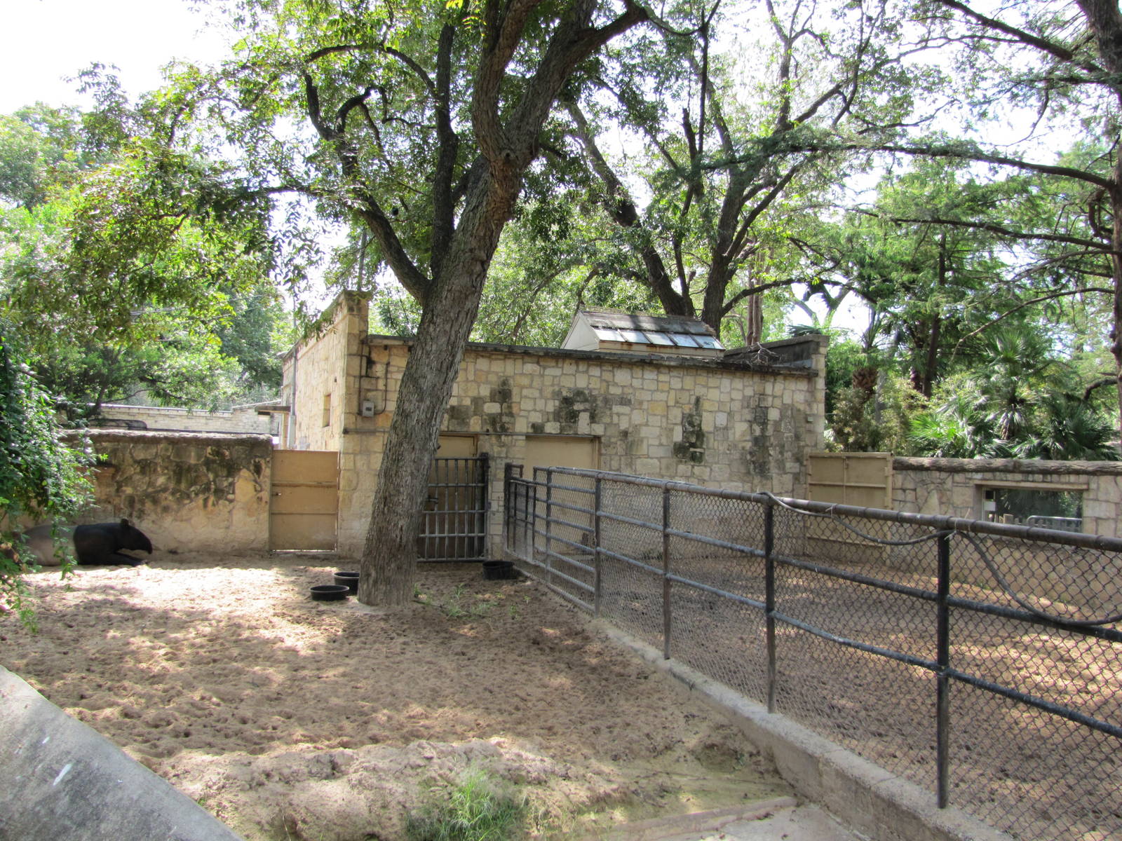 San Antonio Zoo 2010 - Part of the Malayan Tapir exhibit