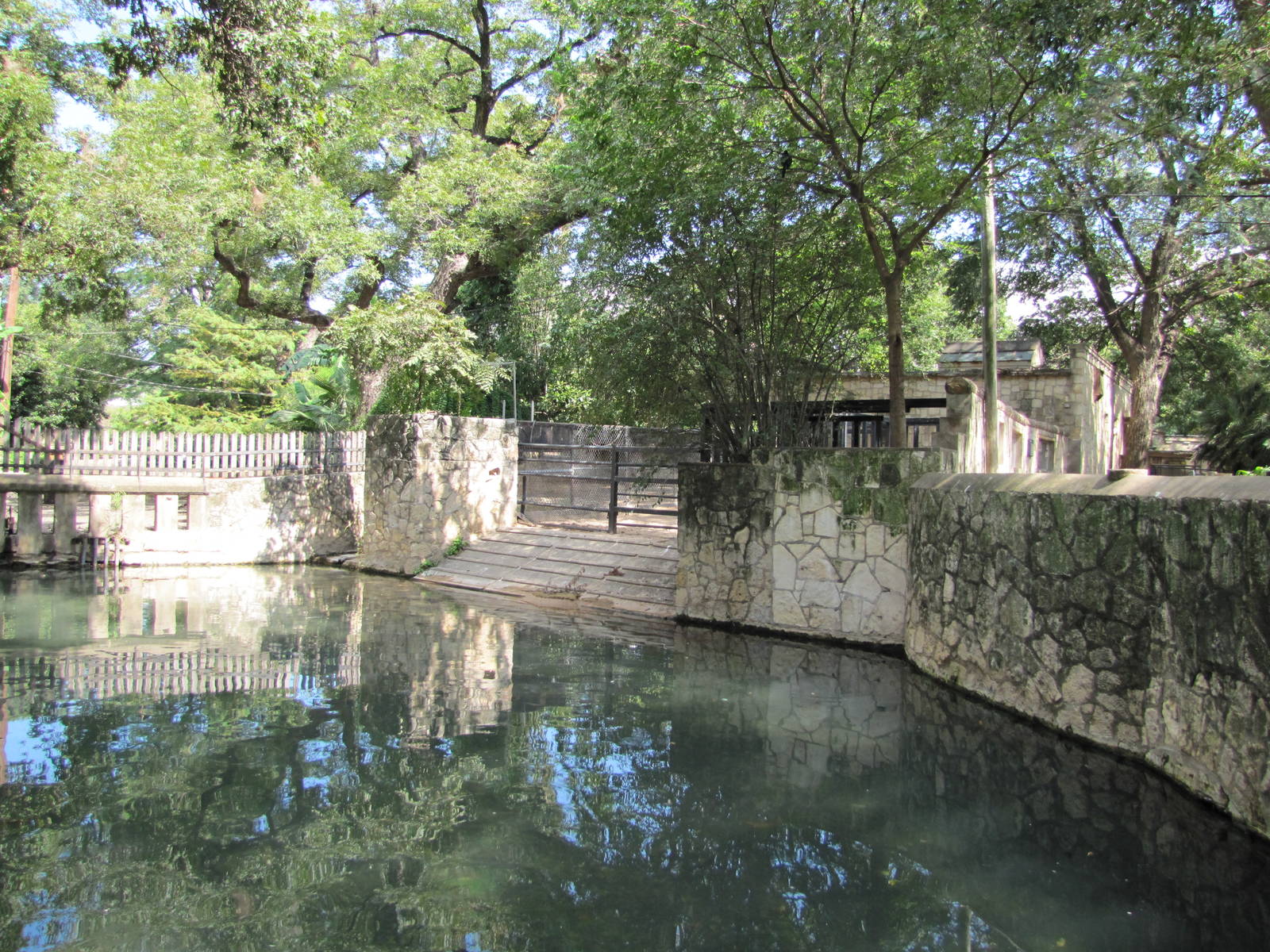 San Antonio Zoo 2010 - Present Malayan Tapir exhibit and former Common Hipp