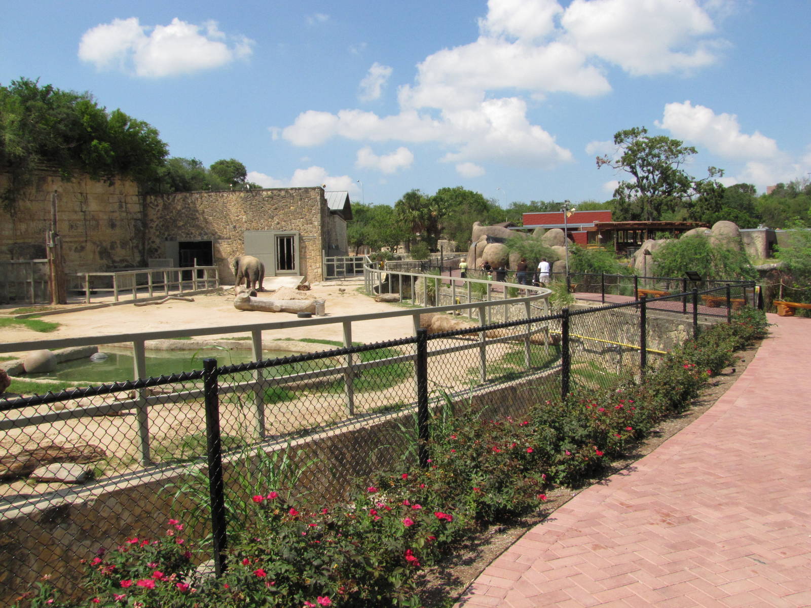 San Antonio Zoo 2010 - Right part of the controversial Asiatic Elephant exh