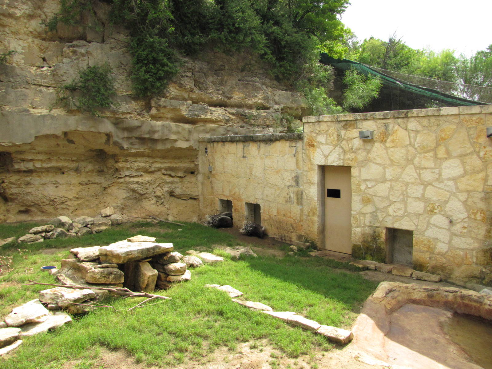 San Antonio Zoo 2010 - Right side of the Crested Porcupine exhibit