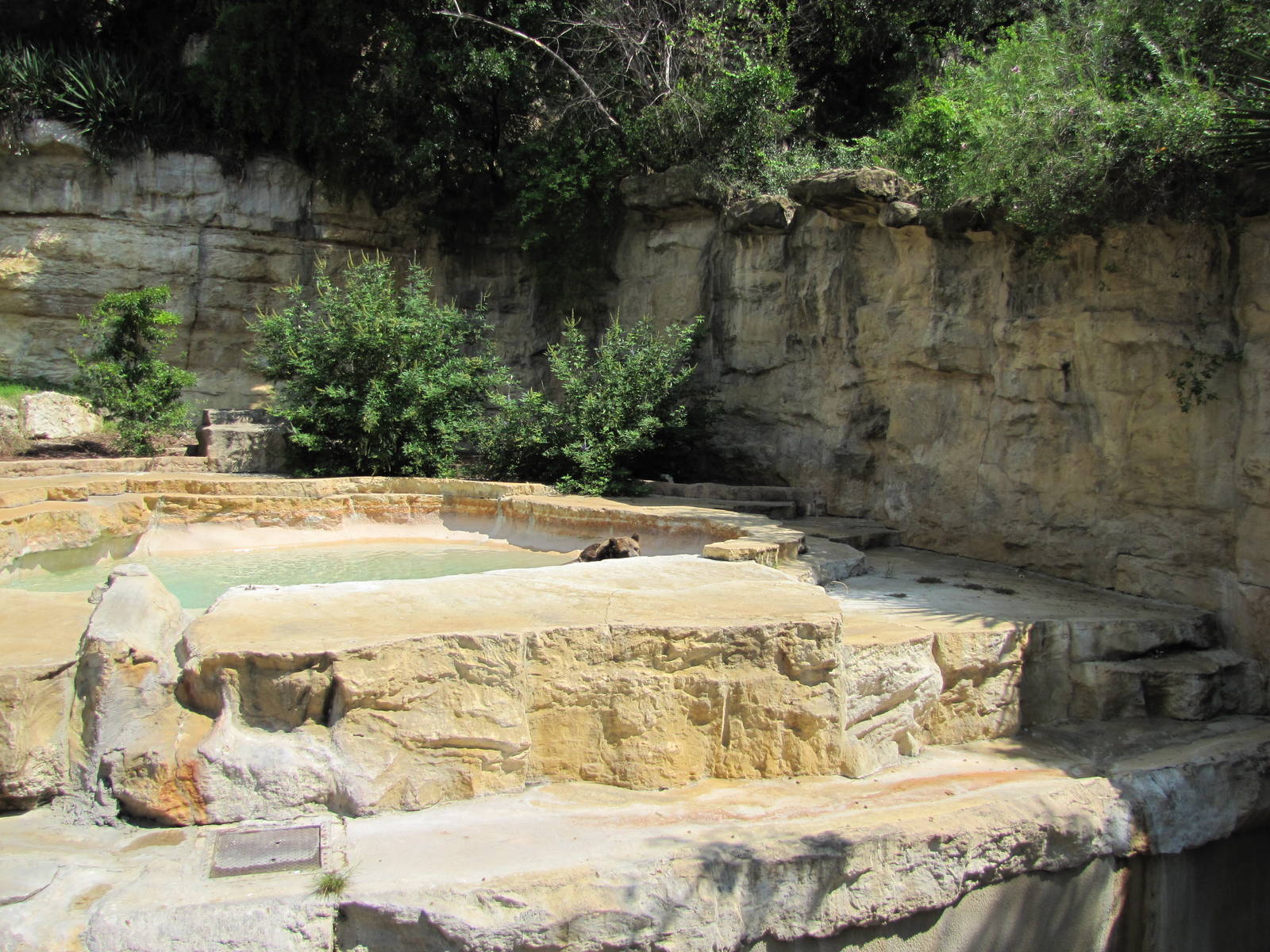 San Antonio Zoo 2010 - Right side of the Grizzly Bear rocky grotto
