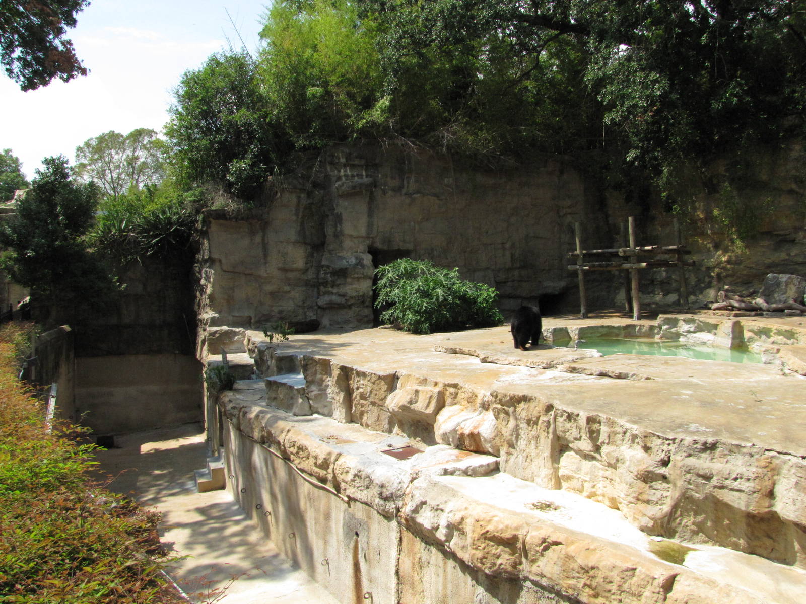 San Antonio Zoo 2010 - Right side of the Spectacled Bear rocky grotto