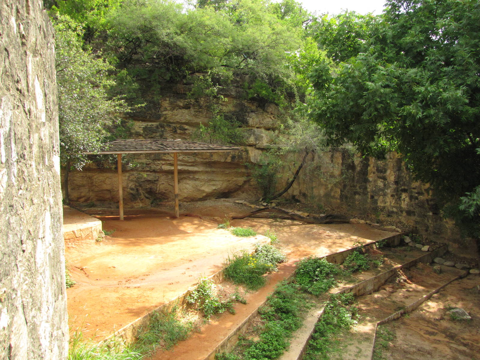 San Antonio Zoo 2010 - Right side of the Spotted Hyena exhibit