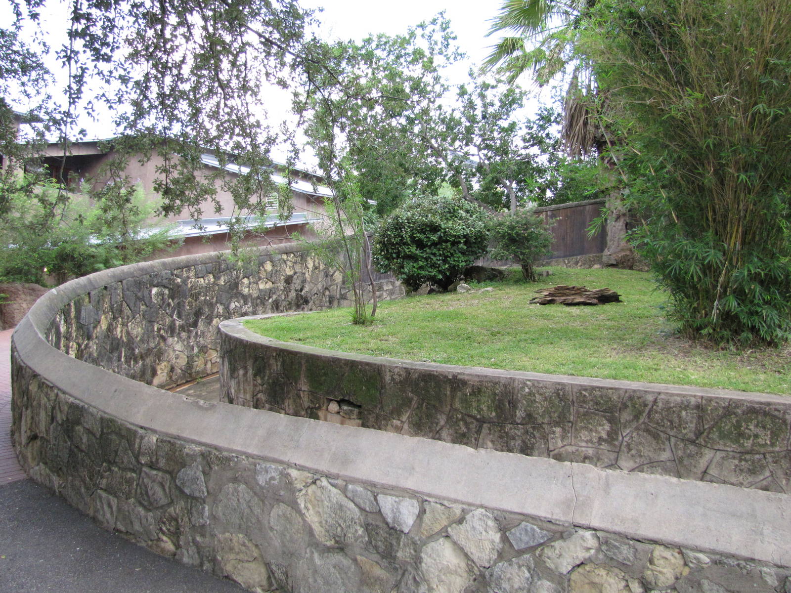 San Antonio Zoo 2010 - The left side of the larger Babirusa exhibit