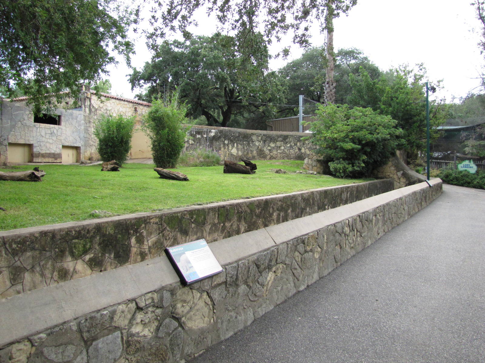 San Antonio Zoo 2010 - The right side of the larger Babirusa exhibit