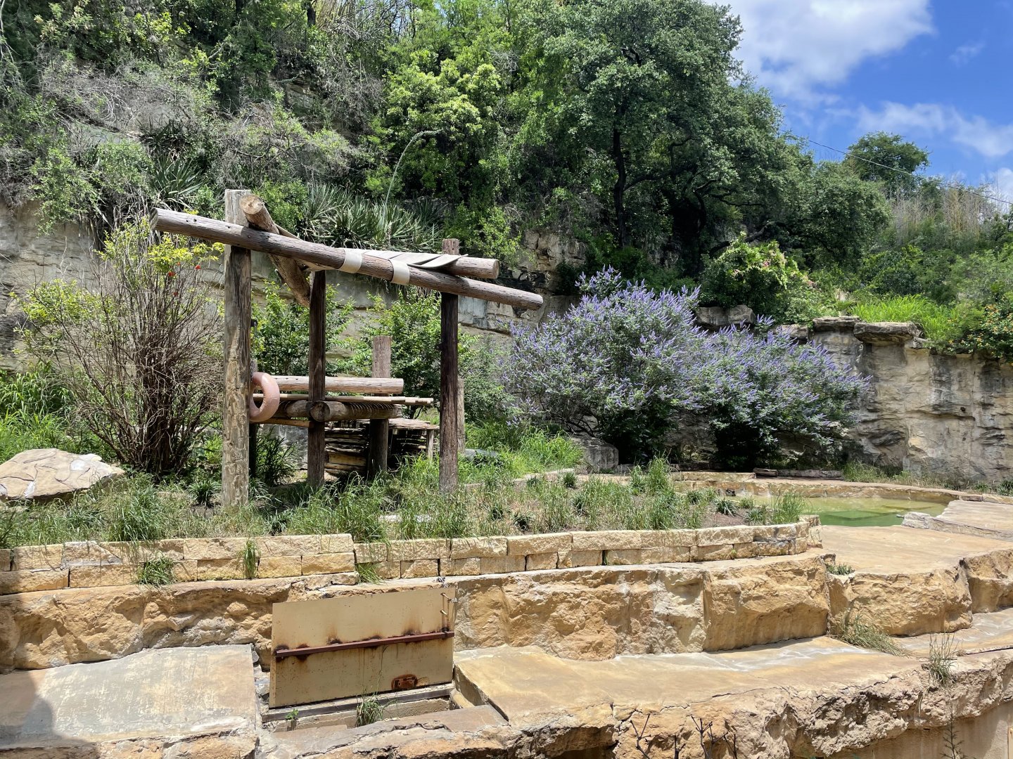 San Antonio Zoo - Andean Bear Exhibit