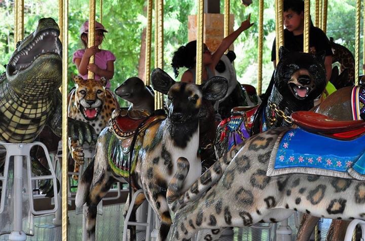 San Antonio Zoo Carousel