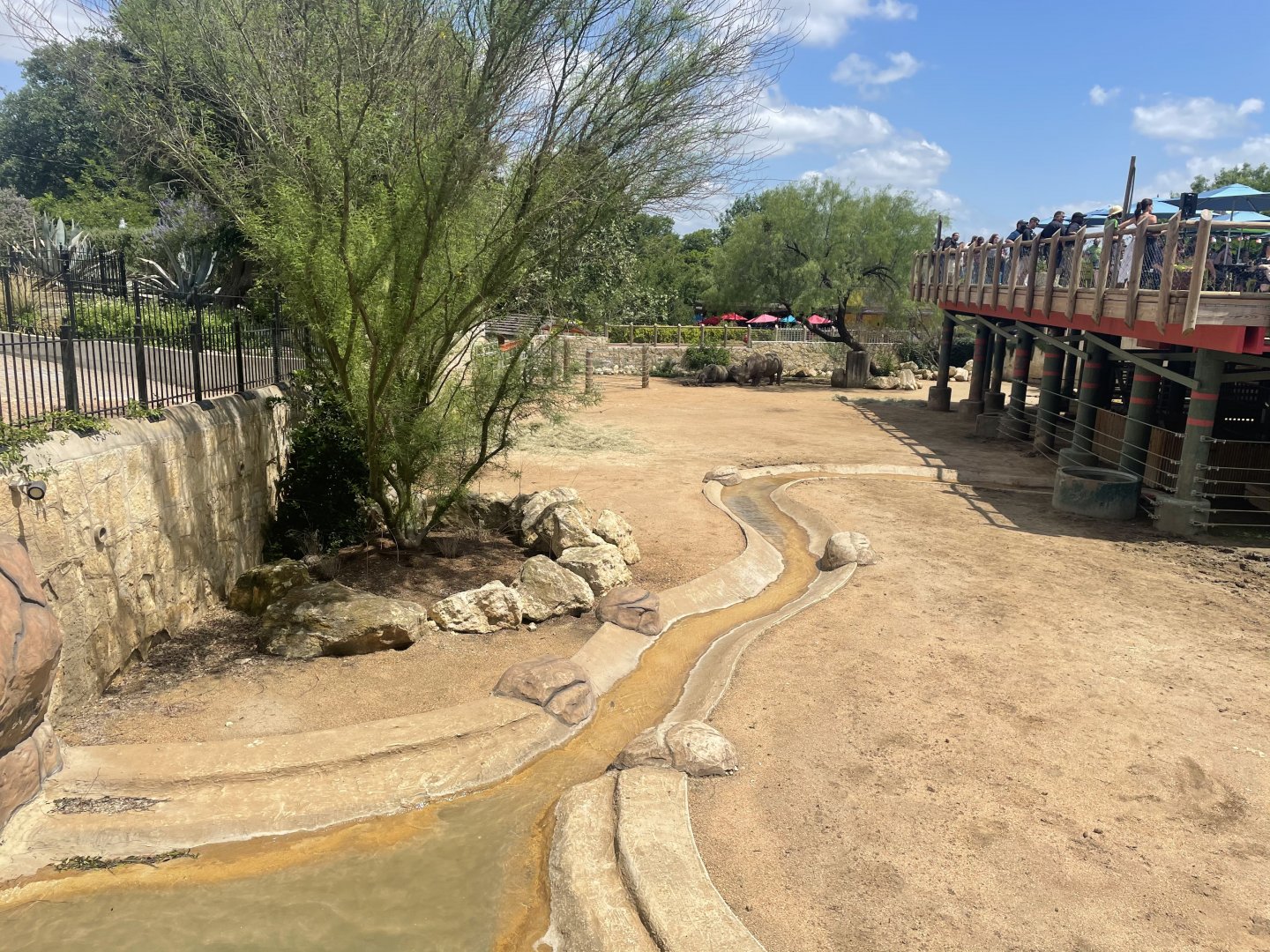 San Antonio Zoo - White Rhino Exhibit