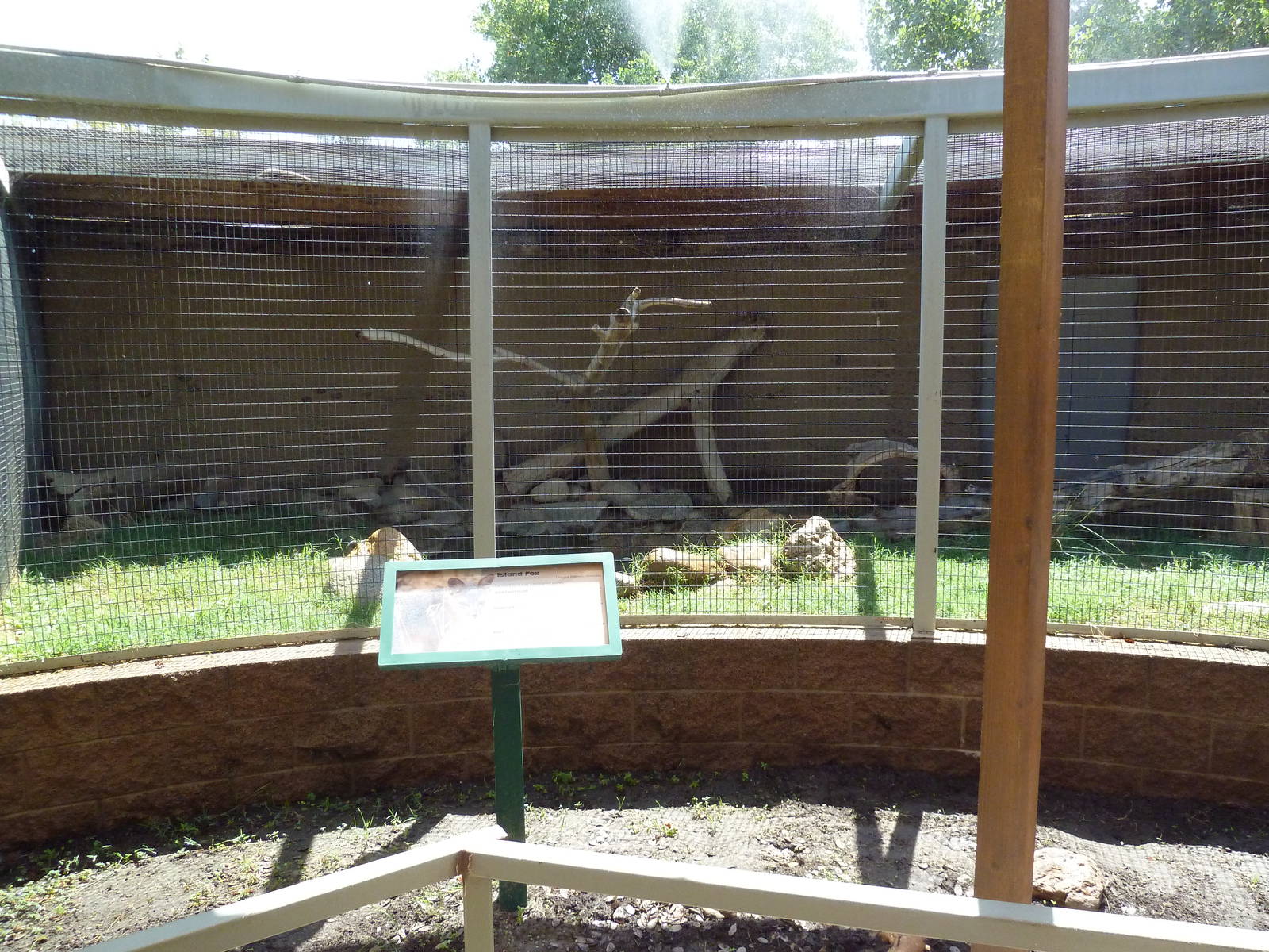San Clemente Island Fox Exhibit