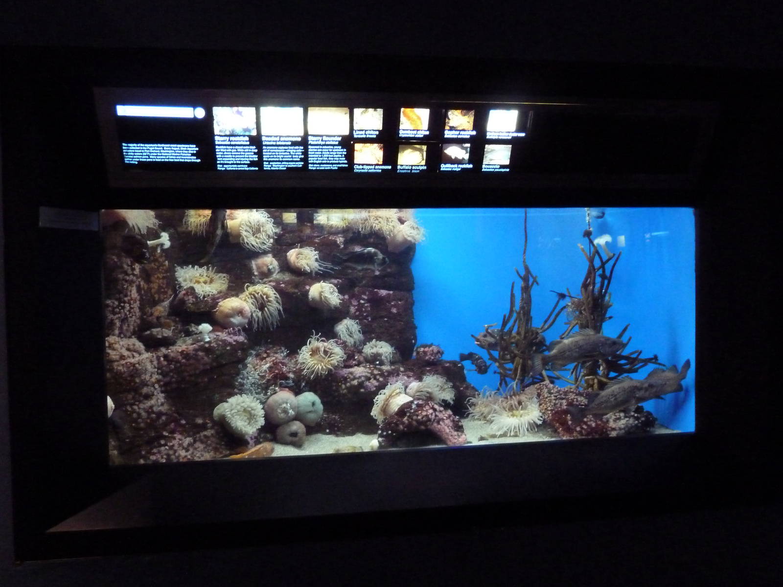 San Diego Bay Exhibit