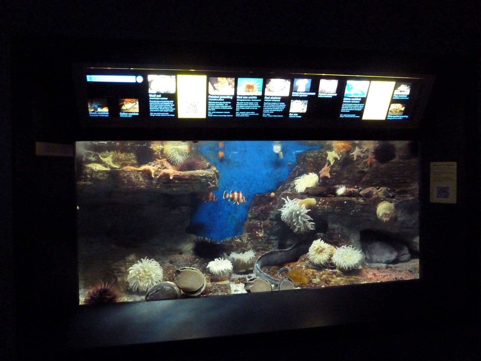 San Diego Bay Exhibit