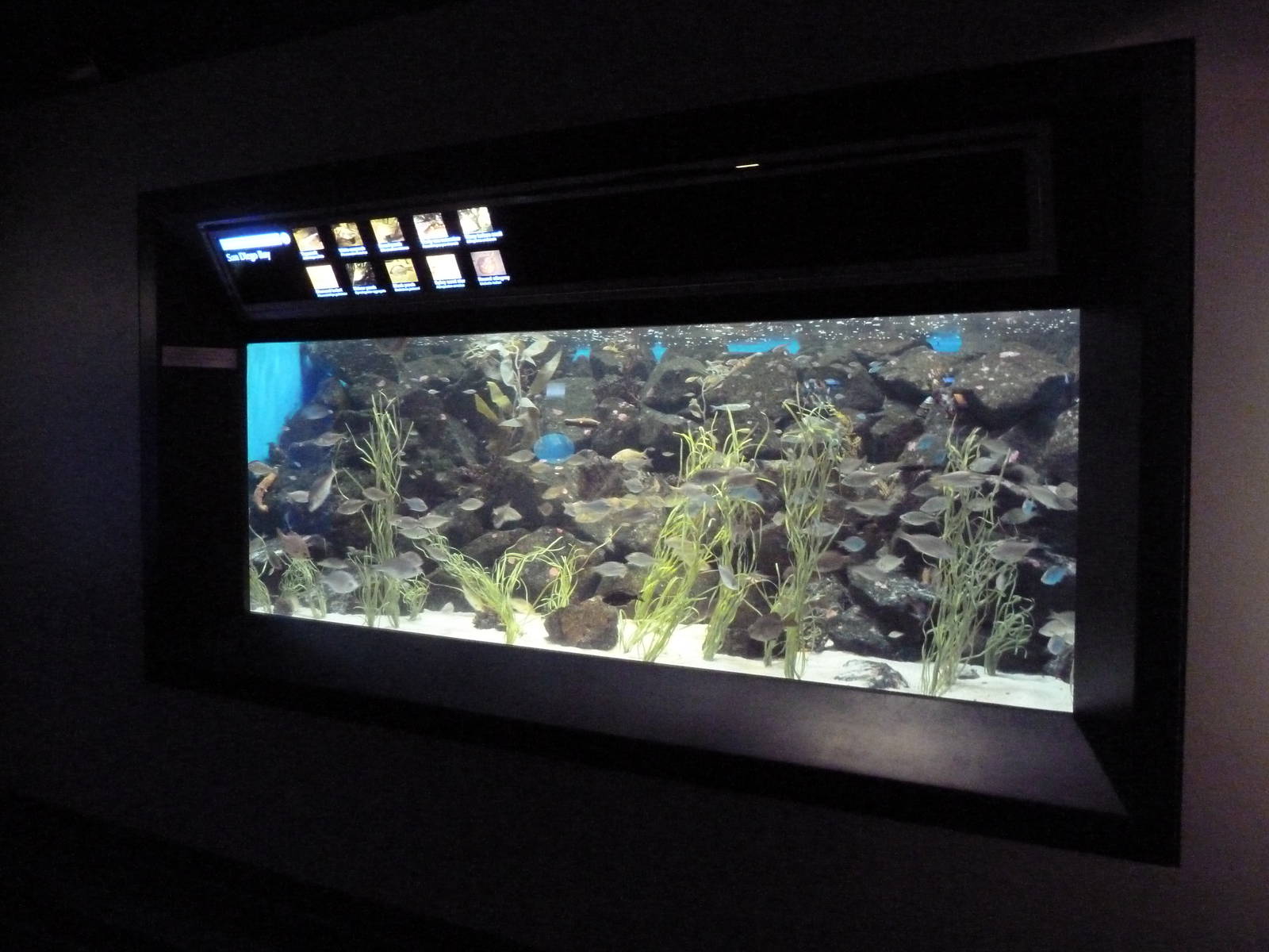 San Diego Bay Exhibit