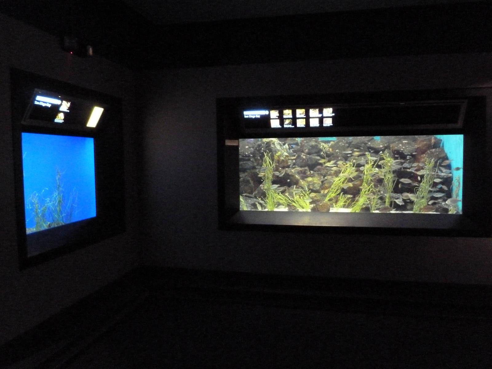 San Diego Bay Exhibits