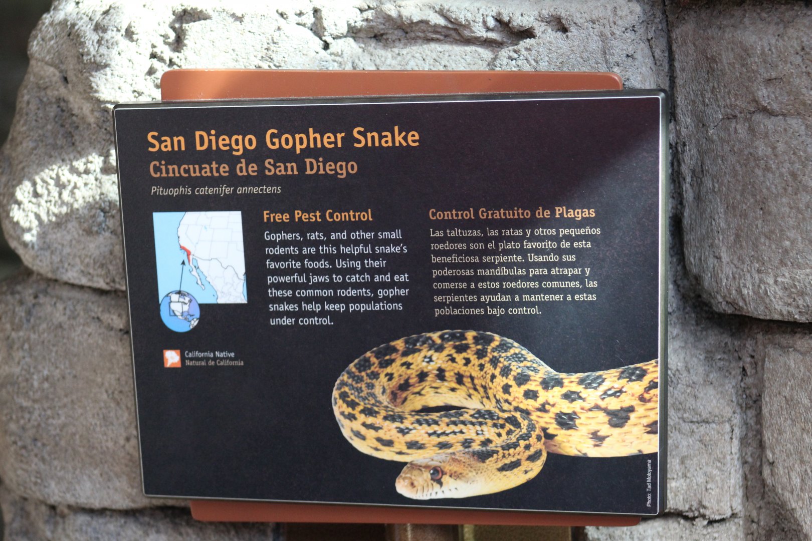 San Diego Gopher Snake Signage