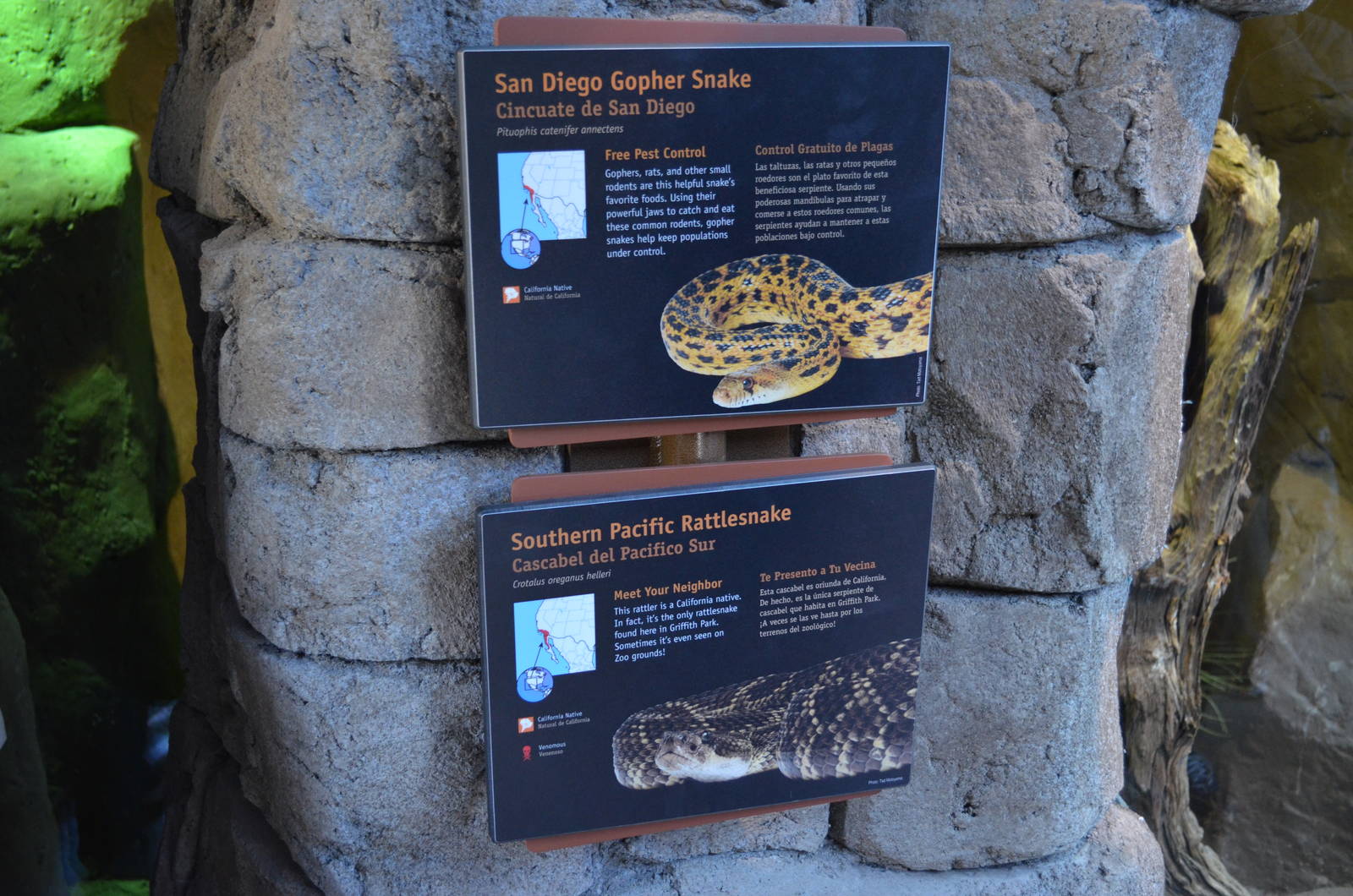 SAN DIEGO GOPHER SNAKE/SOUTHERN PACIFIC RATTLESNAKE SIGNAGE