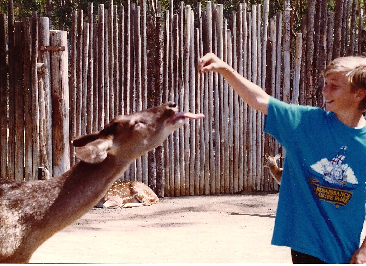 San Diego Wild Animal Park 1980's