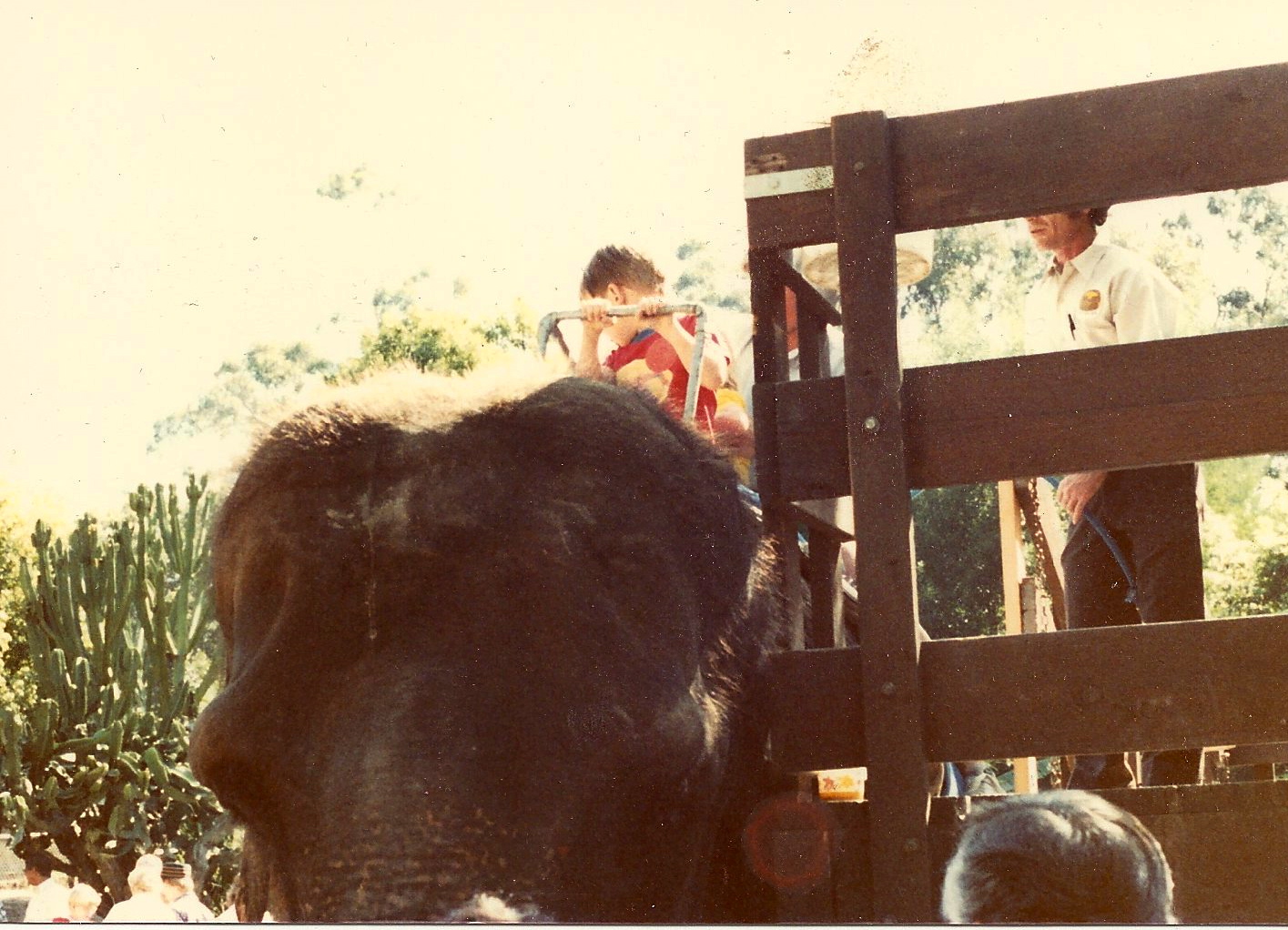 San Diego Wild Animal Park 1980's