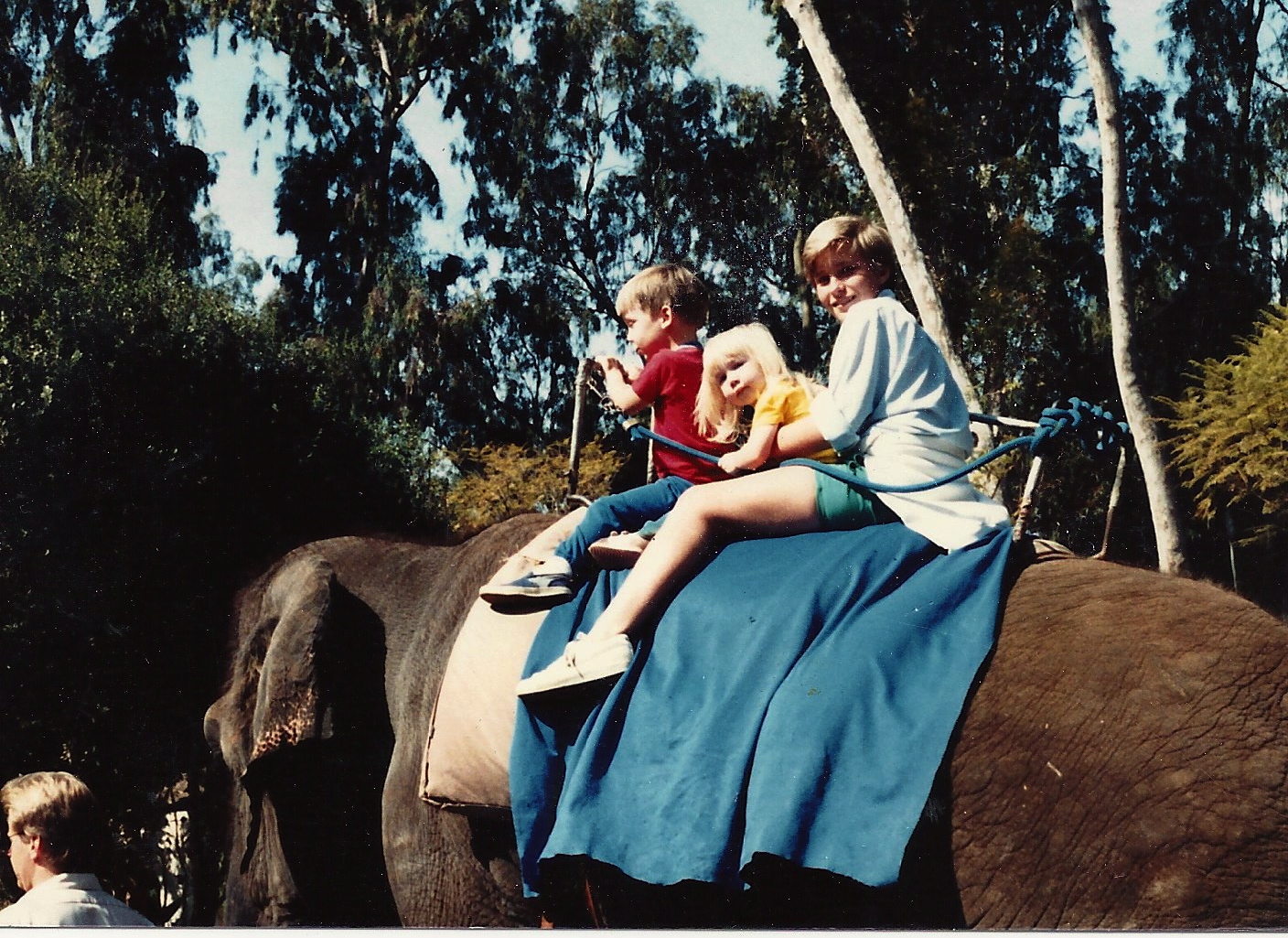 San Diego Wild Animal Park 1980's