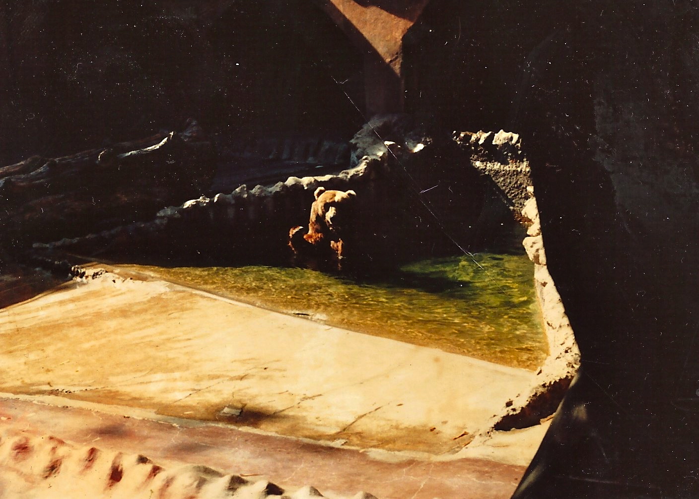 San Diego Zoo 1980's