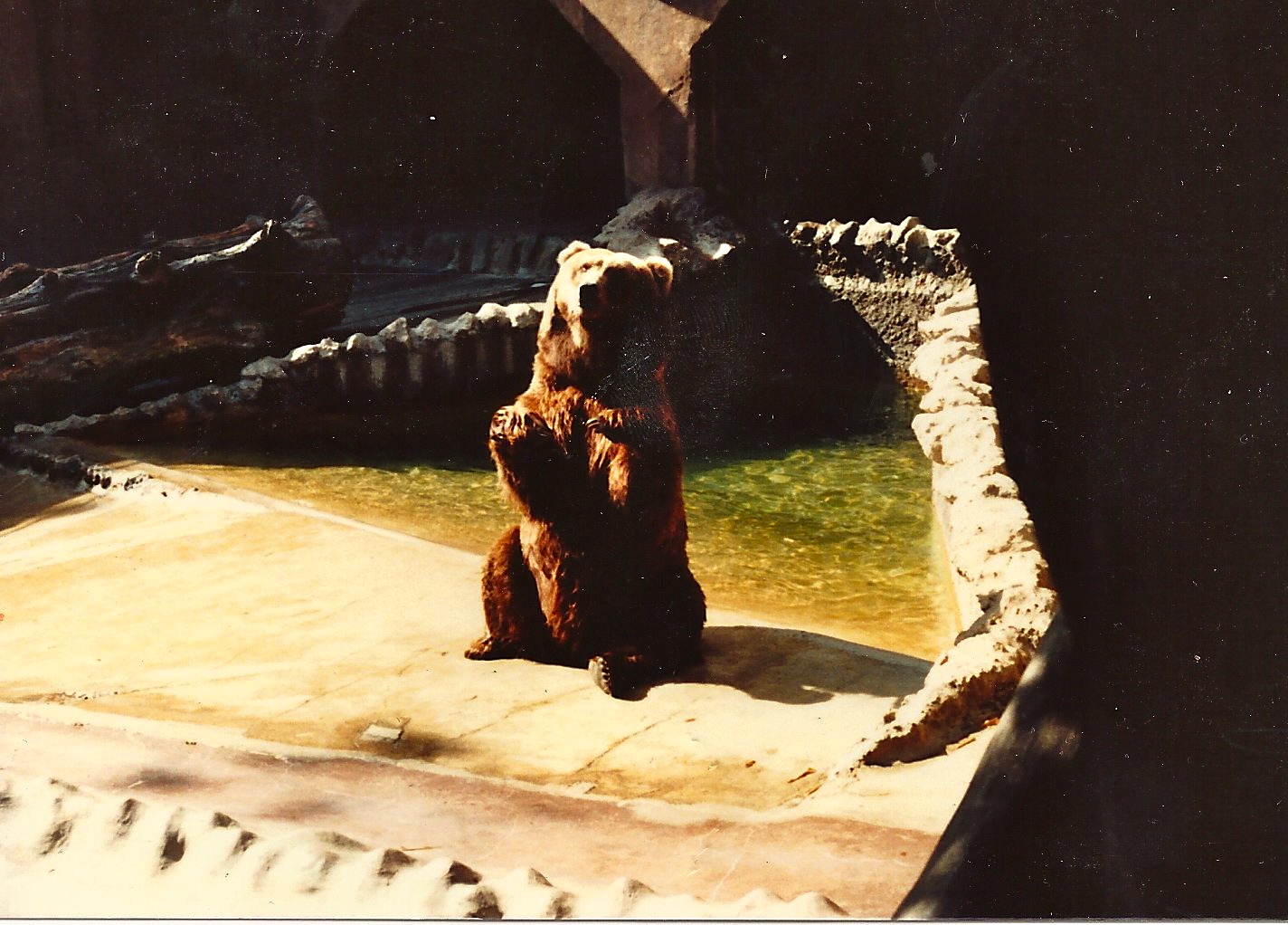 San Diego Zoo 1980's