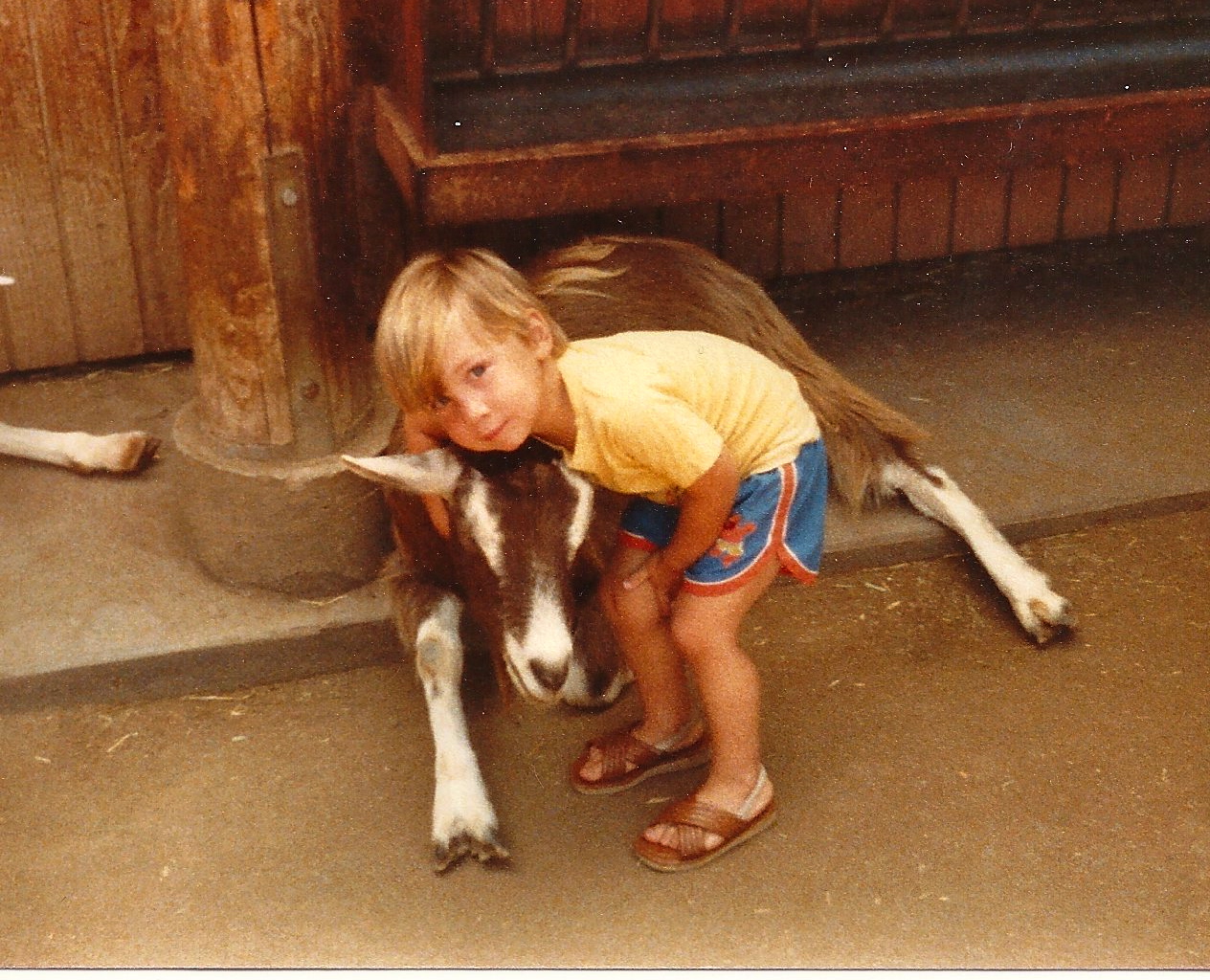 San Diego Zoo 1980's