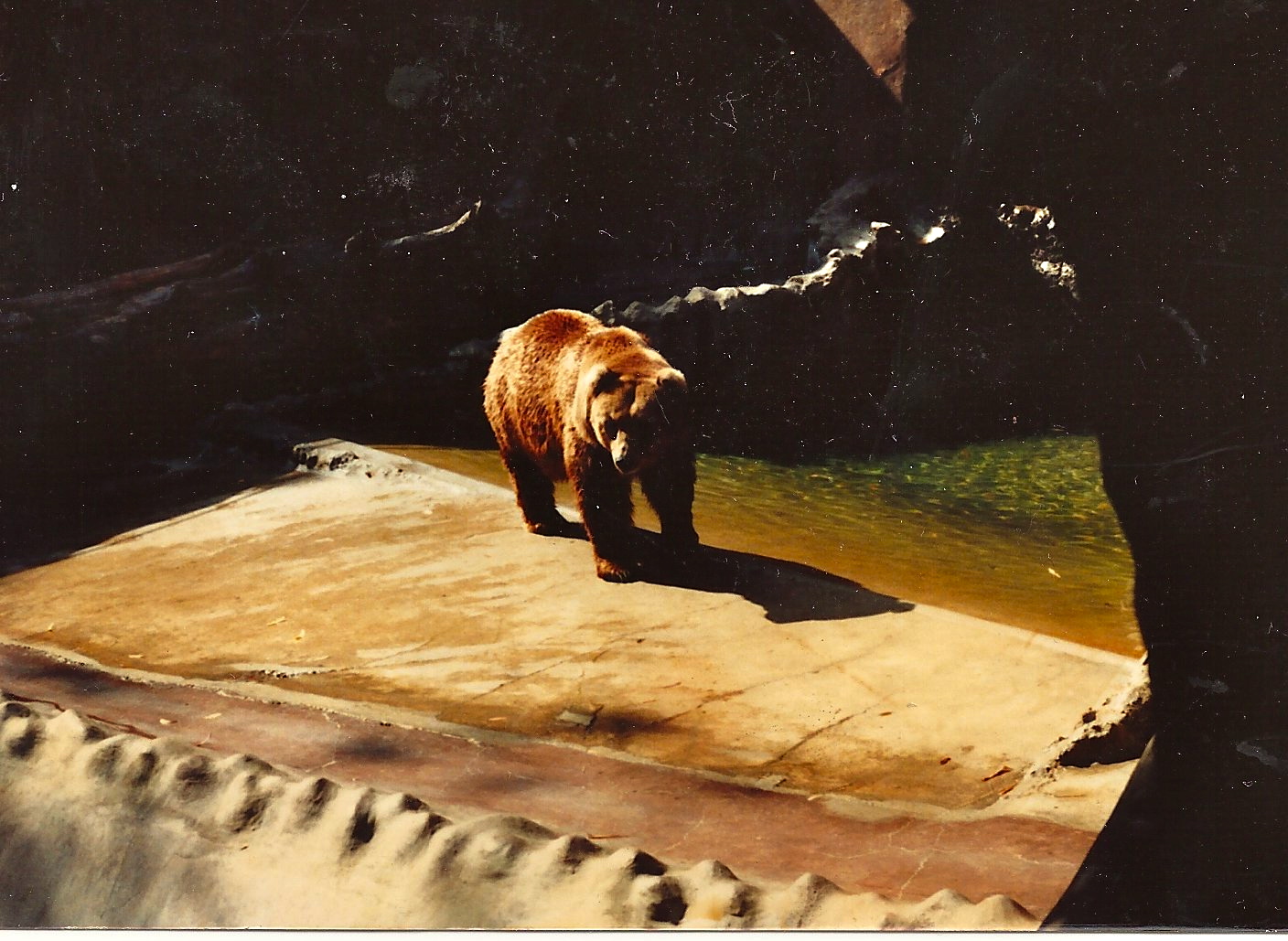 San Diego Zoo 1980's
