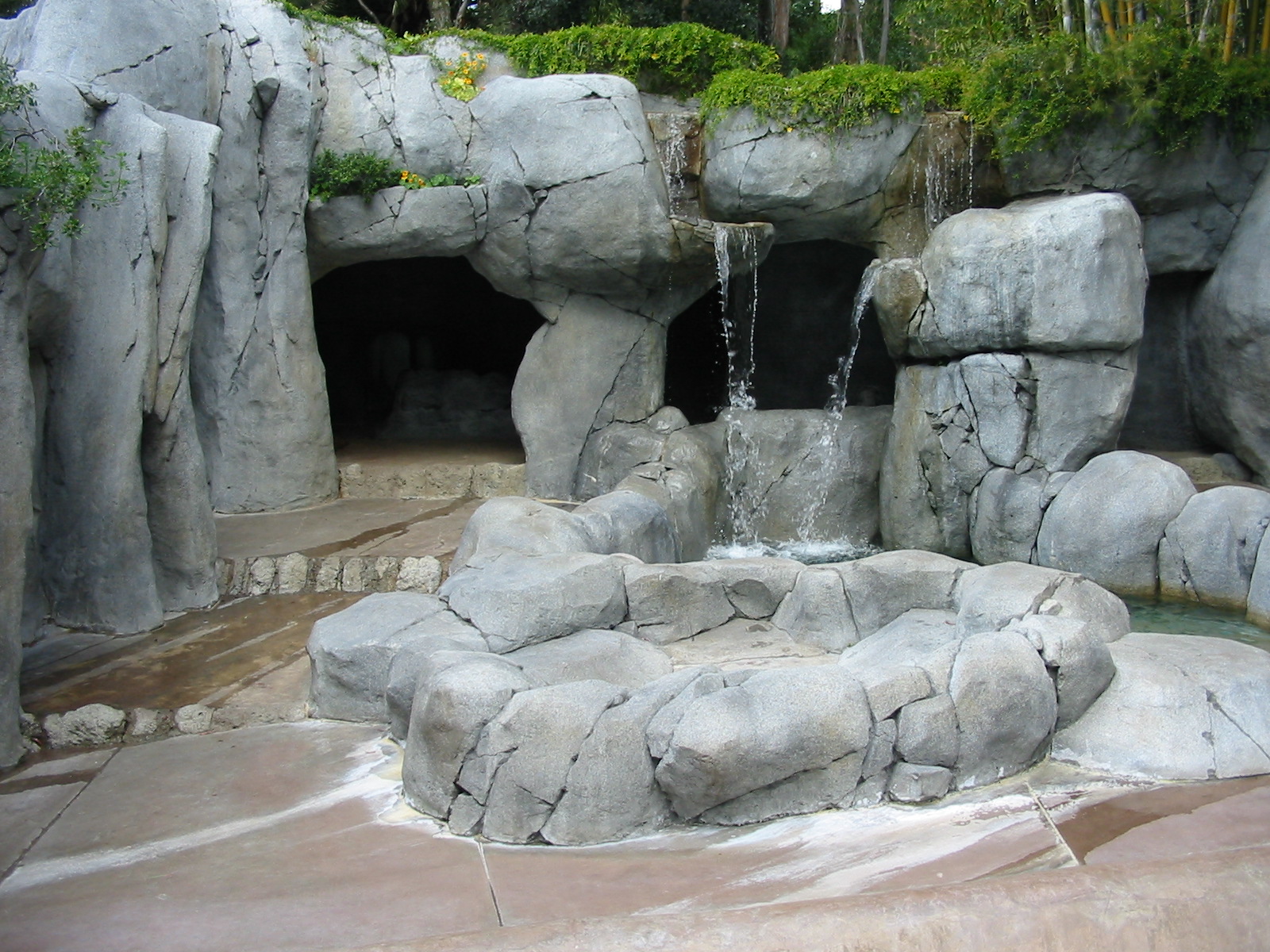 San Diego Zoo 2003 - Alaskan Brown Bear exhibit in Bear Canyon