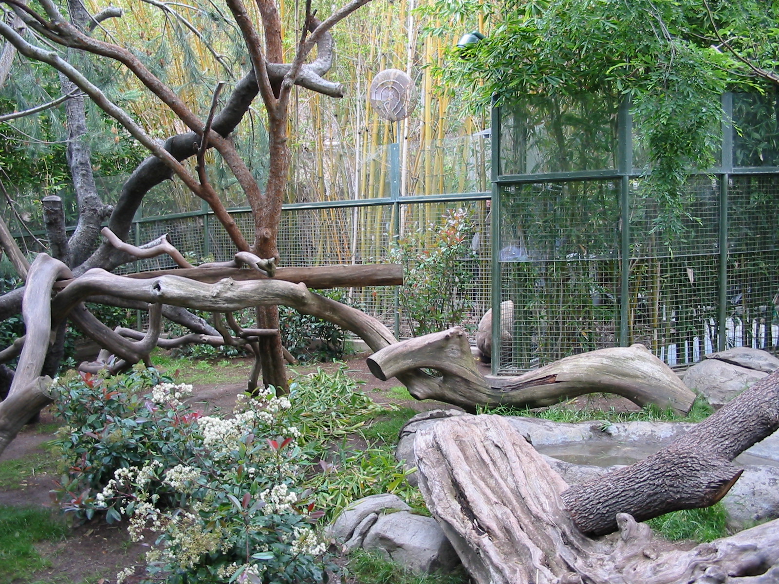 San Diego Zoo 2003 - Part of the Giant Panda exhibit