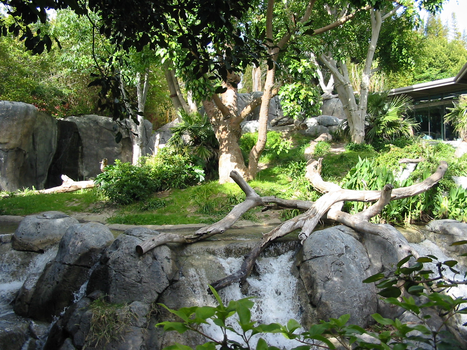 San Diego Zoo 2003 - Part of the Gorilla exhibit