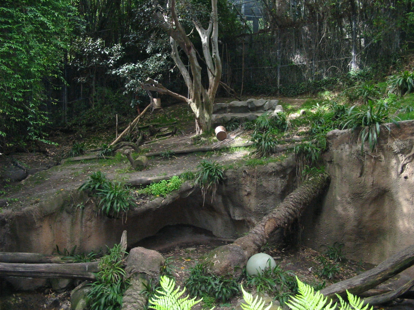San Diego Zoo 2003 - Part of the Malayan Tiger exhibit