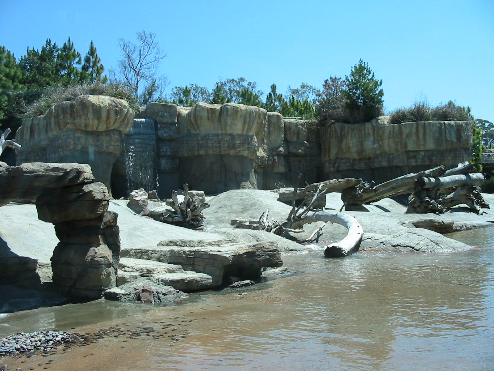 San Diego Zoo 2003 - Polar Bear Plunge