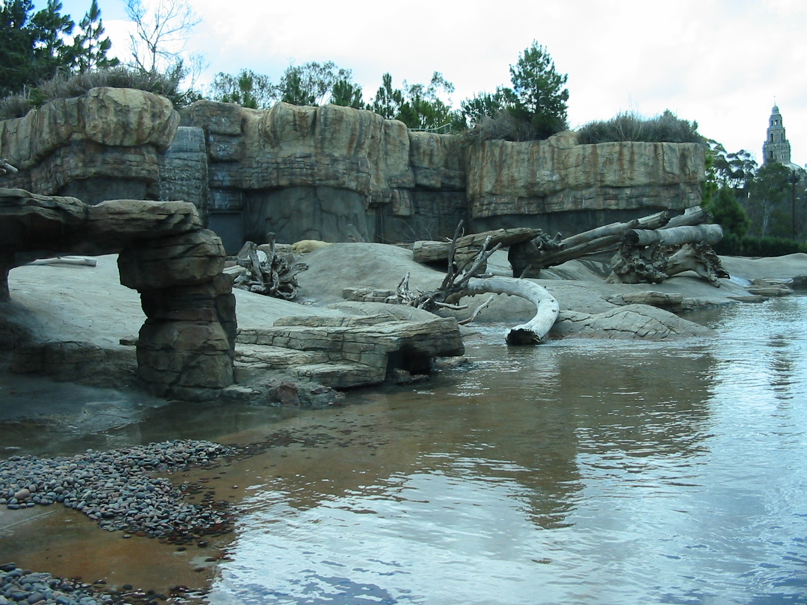 San Diego Zoo 2003 - Polar Bear Plunge