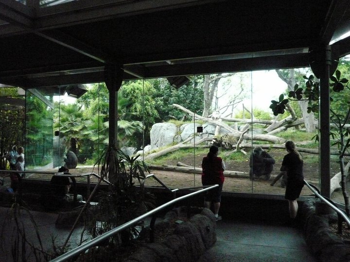 San Diego Zoo 24.09.2010