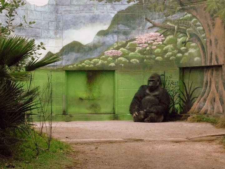 San Diego Zoo 24.09.2010