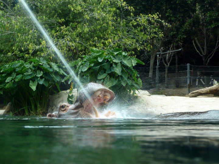 San Diego Zoo 24.09.2010