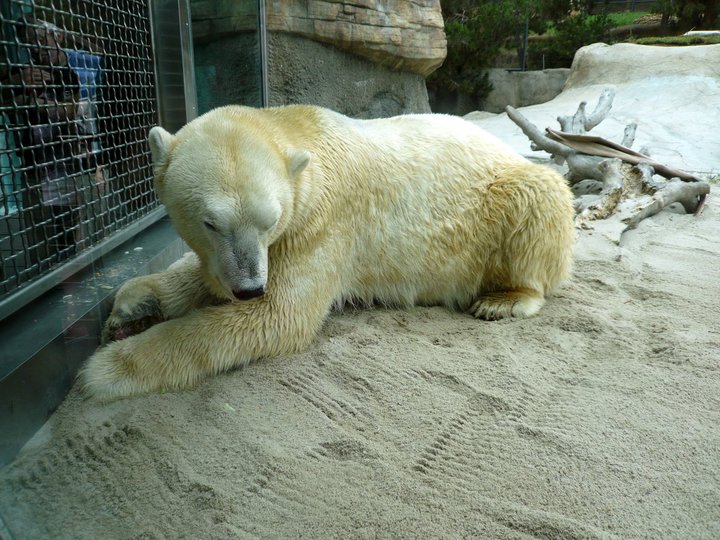 San Diego Zoo 24.09.2010