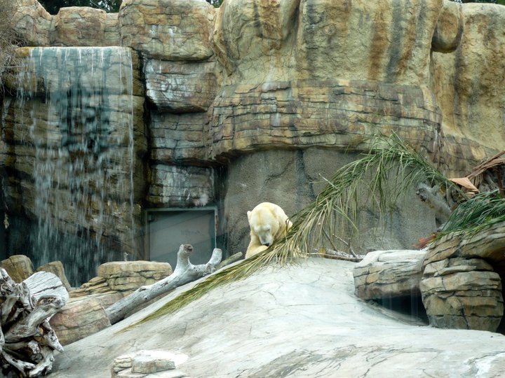 San Diego Zoo 24.09.2010