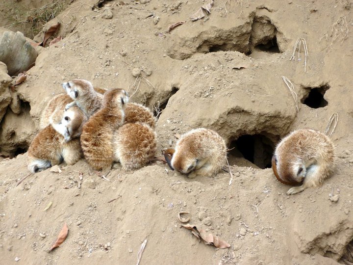 San Diego Zoo 24.09.2010