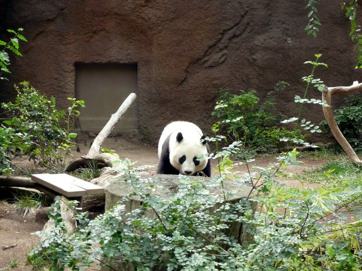 San Diego Zoo 24.09.2010