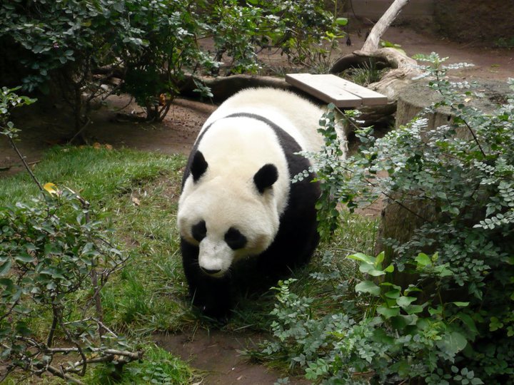 San Diego Zoo 24.09.2010