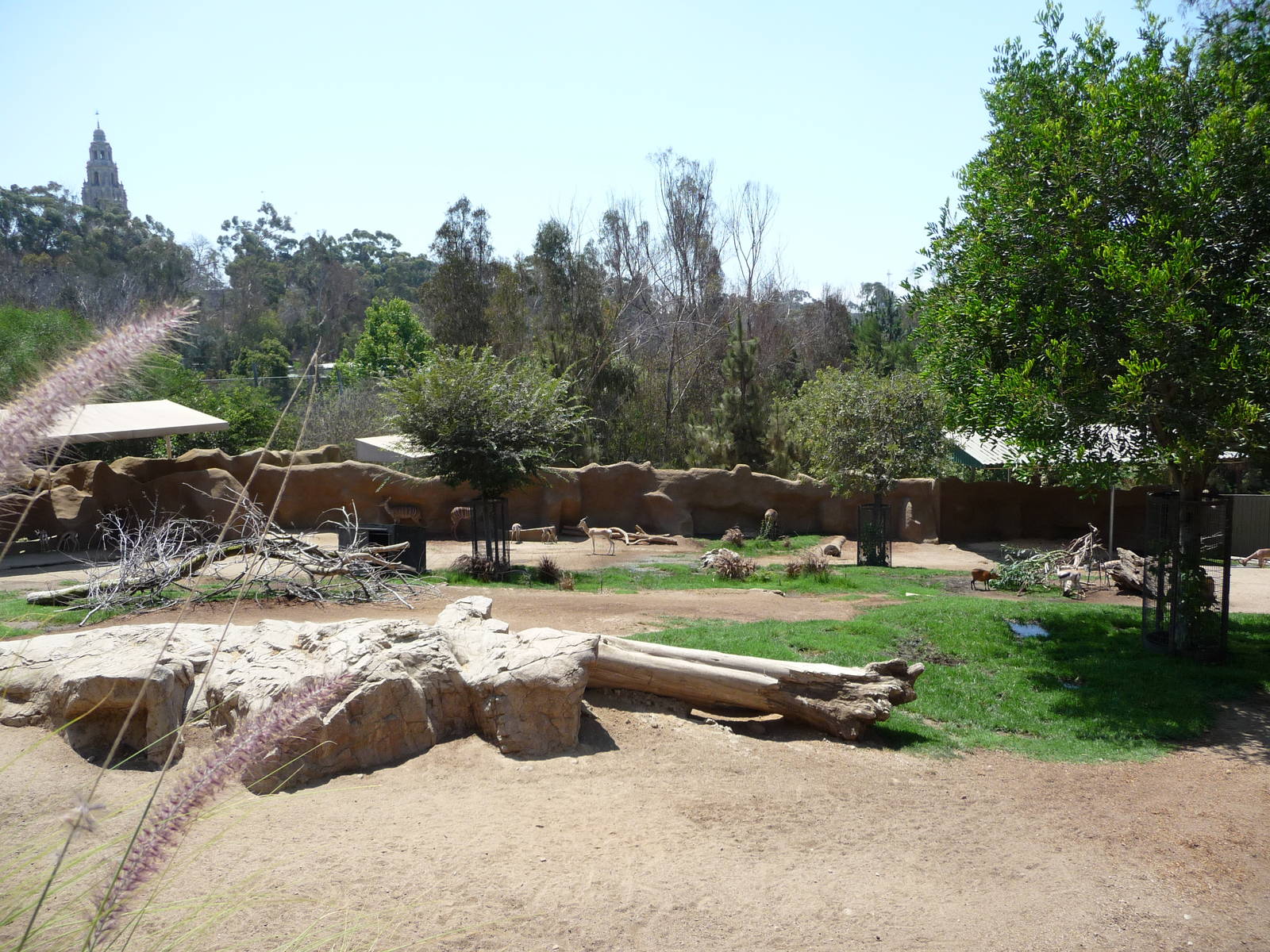 San Diego Zoo - African Savanna